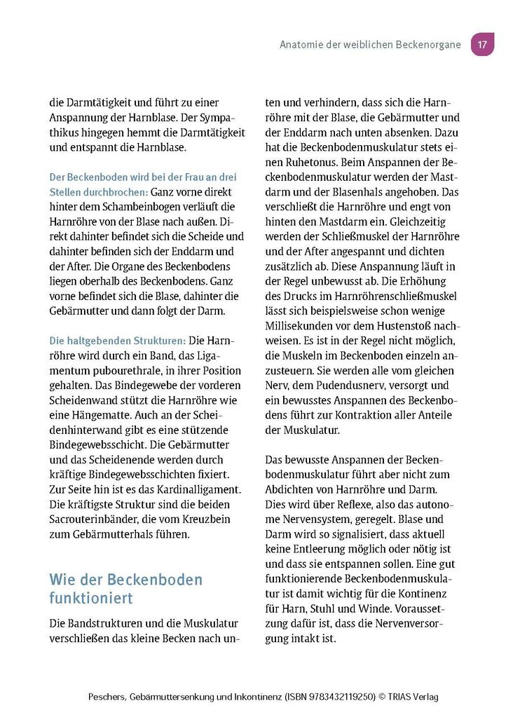 Weitere Ansicht: Frauengesundheit: Gebärmuttersenkung und Inkontinenz | Ursula Peschers