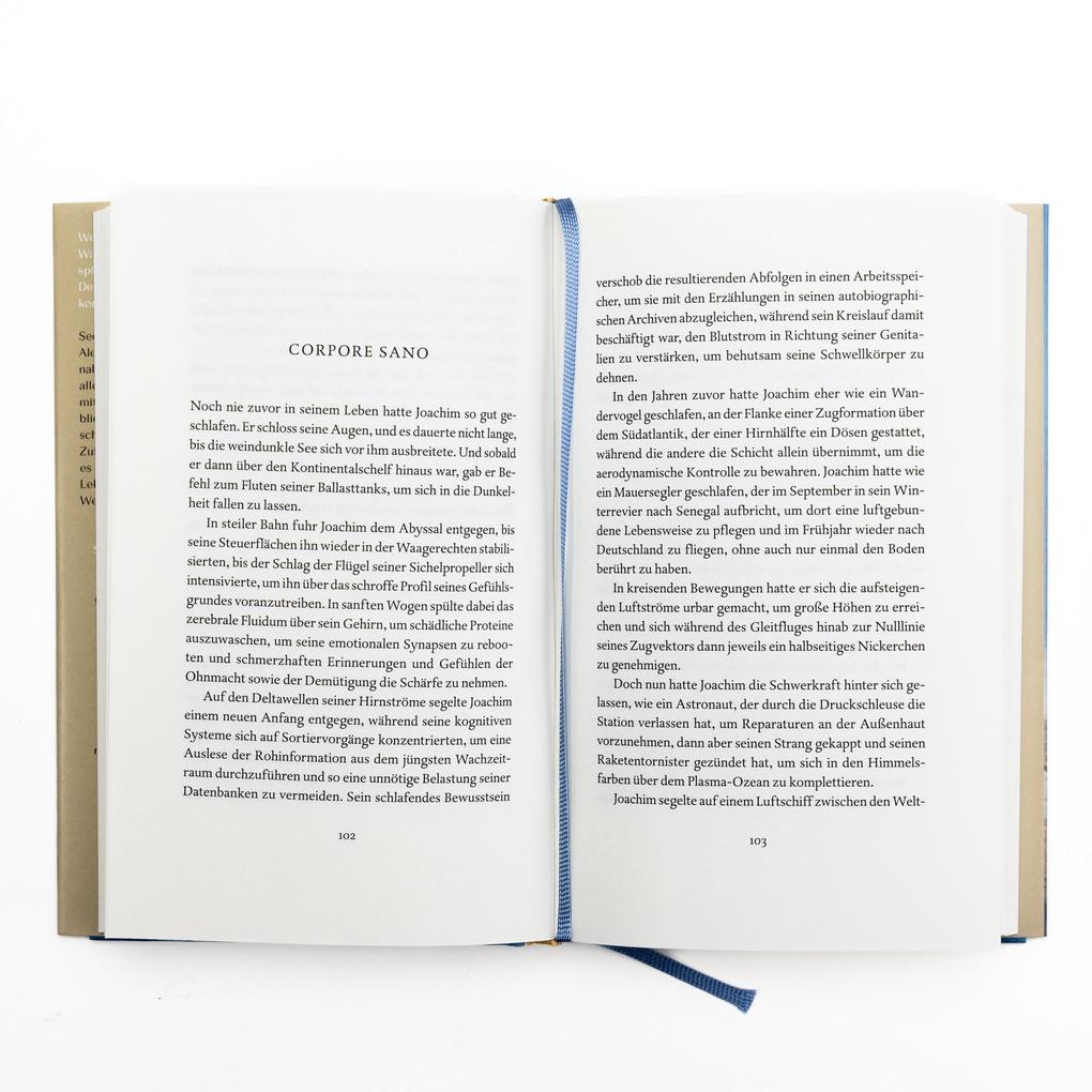 Weitere Ansicht: Karma | Alexander Schimmelbusch