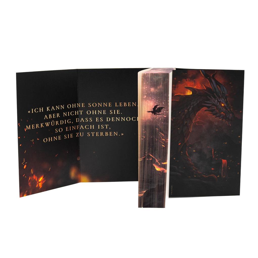 Weitere Ansicht: Ember King | Marie Niehoff