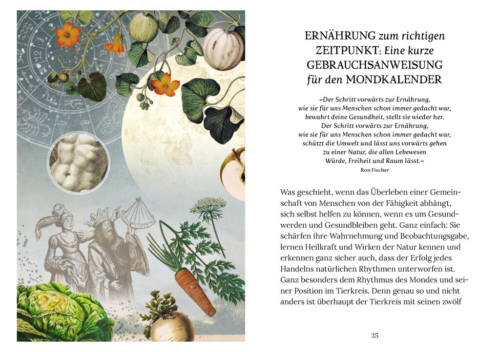 Weitere Ansicht: Ernährung im Rhythmus des Mondes | Johanna Paungger, Thomas Poppe
