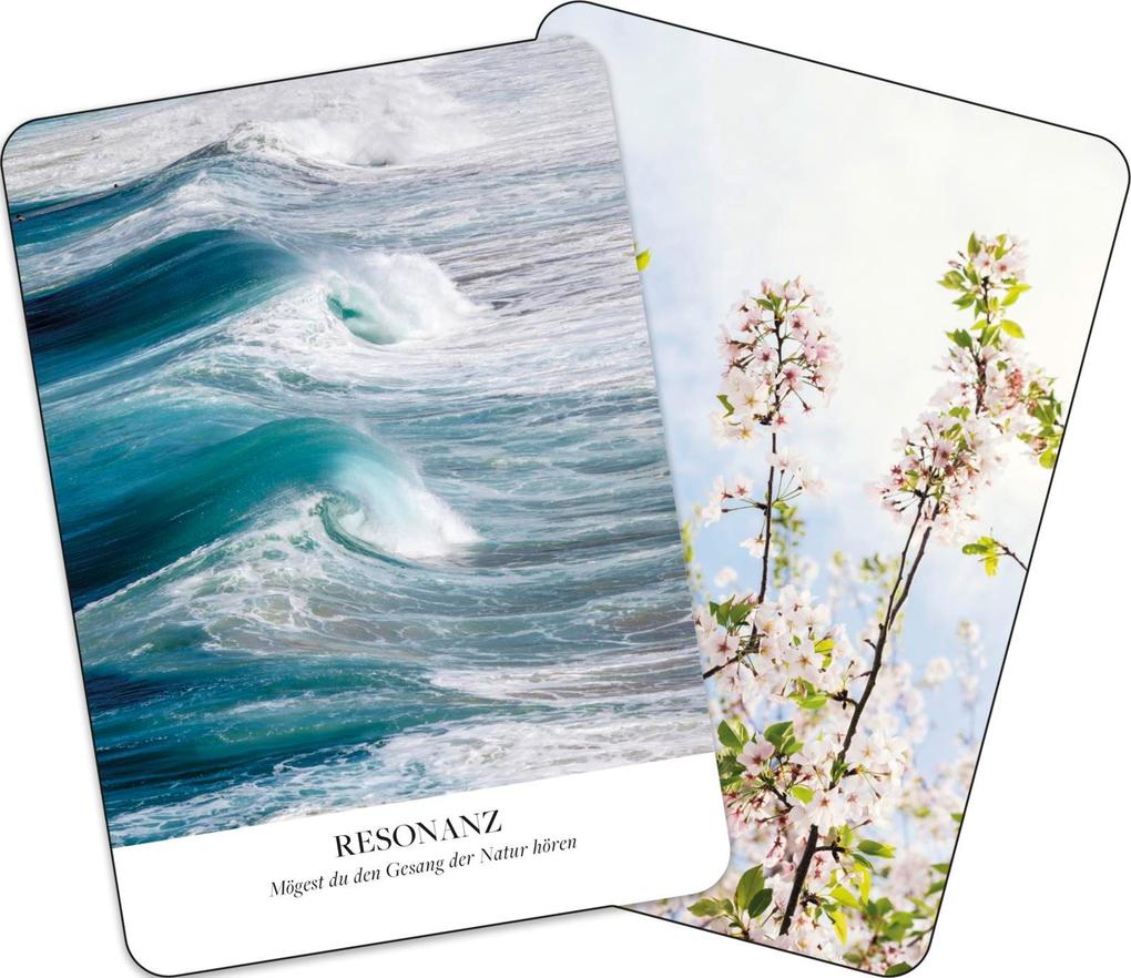 Weitere Ansicht: Kraftorte | Liz Dean