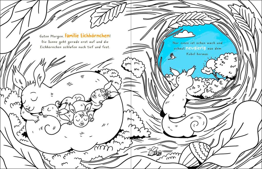 Weitere Ansicht: Mal doch mal! - Das kleine Eichhörnchen besucht die Tierkinder
