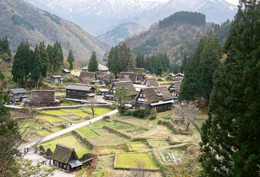 Weitere Ansicht: Sake | Yoshiko Ueno-Müller