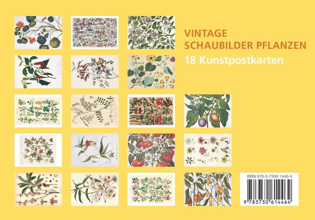 Weitere Ansicht: Postkarten-Set Vintage-Schaubilder Pflanzen