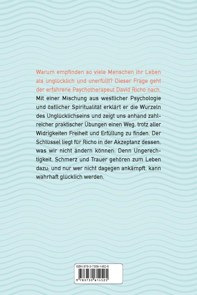 Weitere Ansicht: Akzeptiere, was du nicht ändern kannst. Mit buddhistischer Weisheit und westlicher Psychologie zu mehr Gelassenheit | Ph.D., David Richo, Richo
