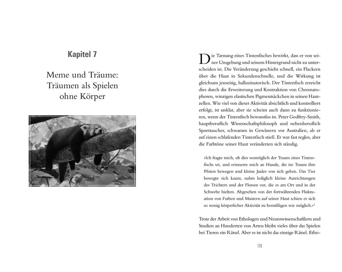 Weitere Ansicht: Das faszinierende Spiel der Tiere | David Toomey