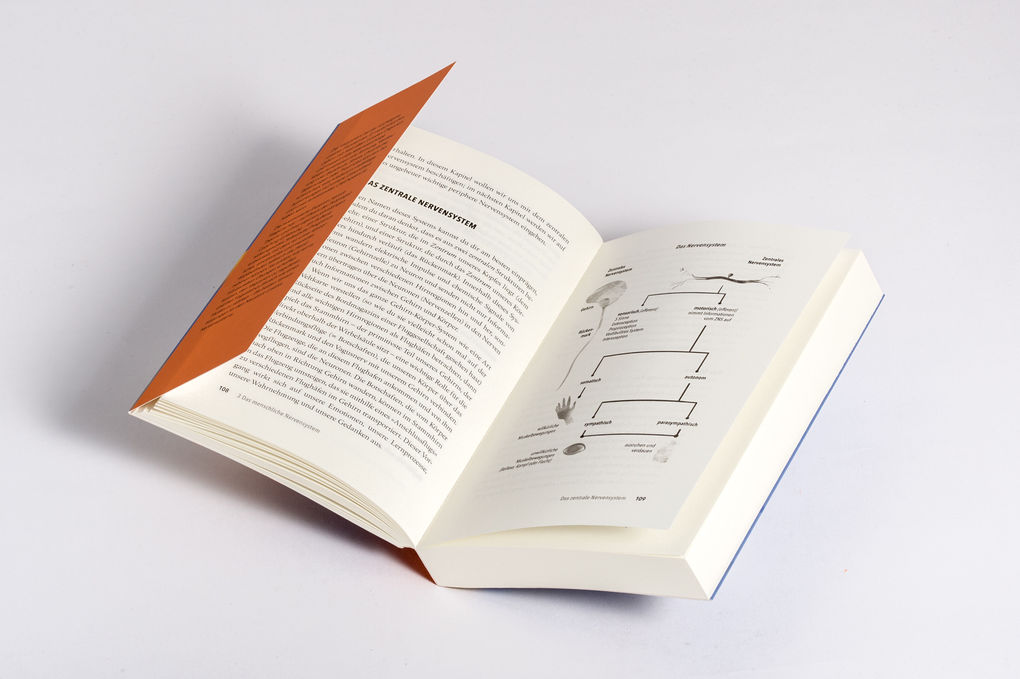 Weitere Ansicht: Das Vagusnerv-Reset-Programm | Jessica Maguire