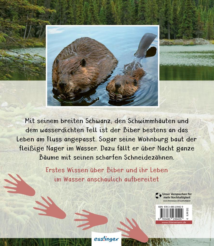 Weitere Ansicht: Meine große Tierbibliothek: Der Biber | Axel Gutjahr