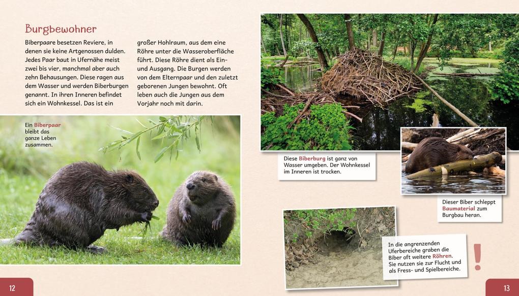 Weitere Ansicht: Meine große Tierbibliothek: Der Biber | Axel Gutjahr