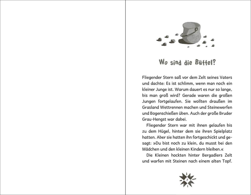 Weitere Ansicht: Fliegender Stern | Ursula Wölfel