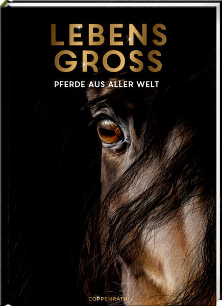 Produktbild: Lebensgroß | Susan Niessen