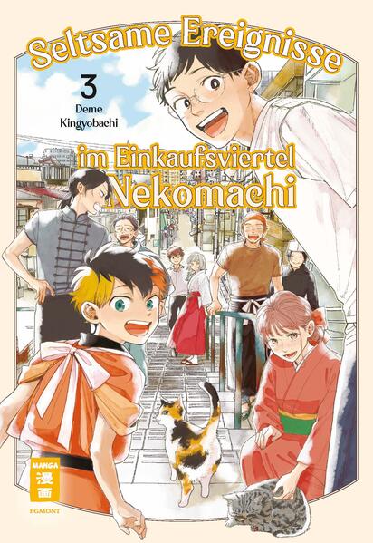 Produktbild: Seltsame Ereignisse im Einkaufsviertel Nekomachi 03 | Deme Kingyobachi