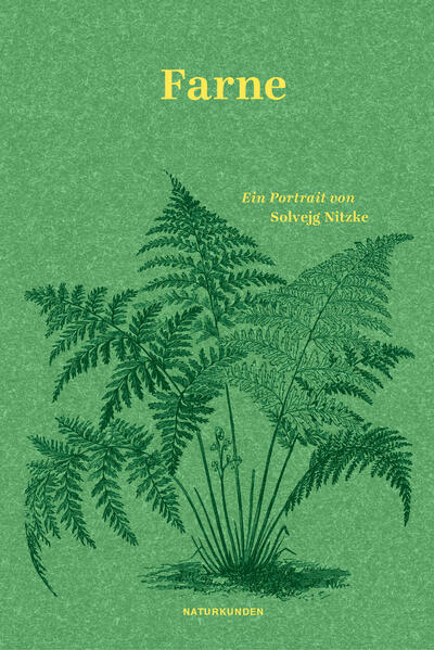 Produktbild: Farne | Solvejg Nitzke