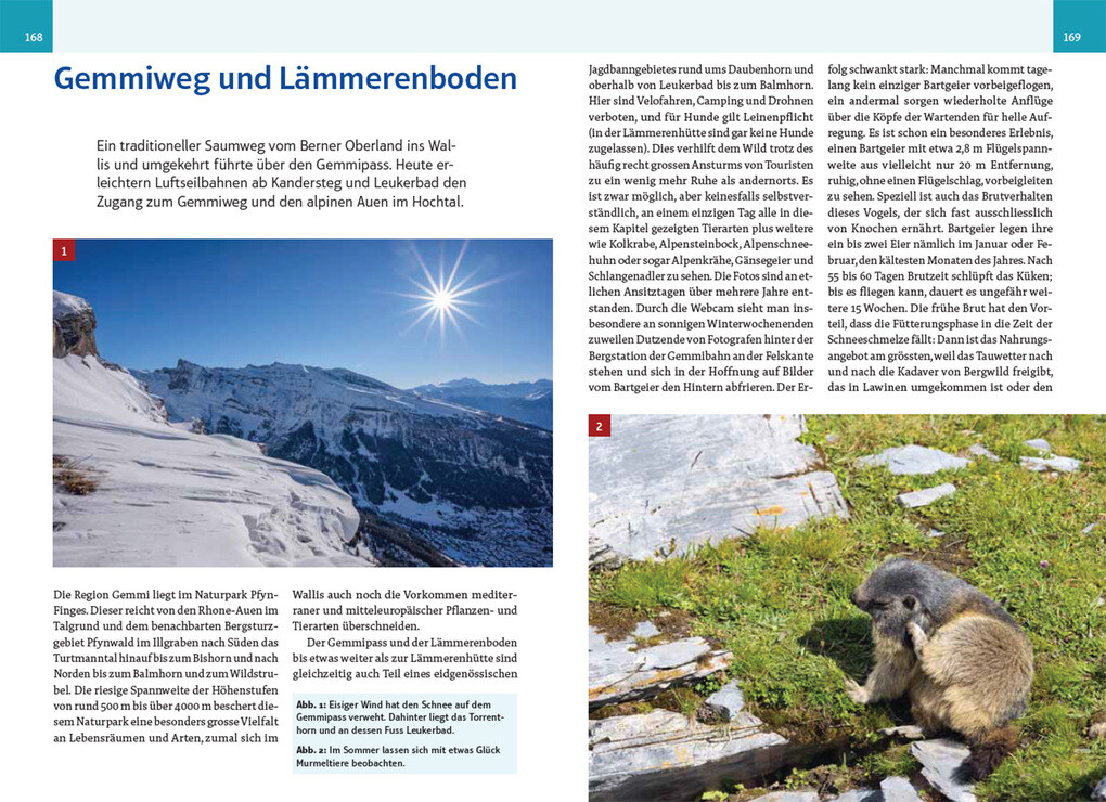 Weitere Ansicht: An wilden Wassern und stillen Ufern | Eric A. Soder