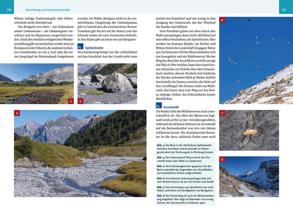 Weitere Ansicht: An wilden Wassern und stillen Ufern | Eric A. Soder