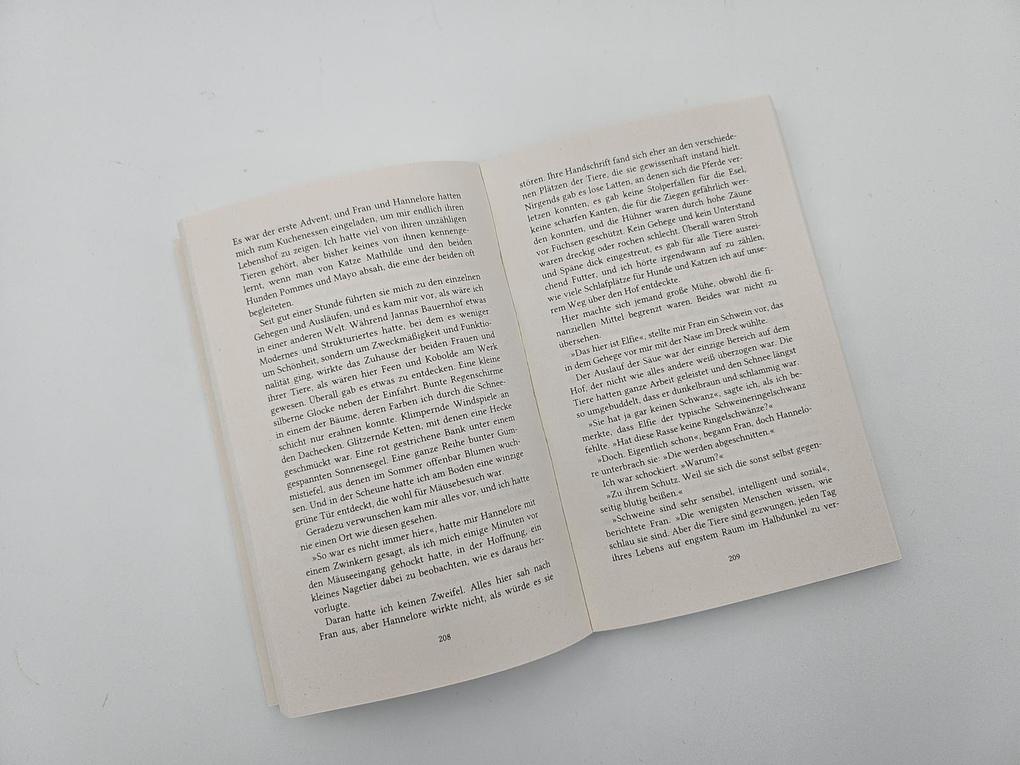 Weitere Ansicht: Weihnachtszauber mit Alpakas | Dana Lukas