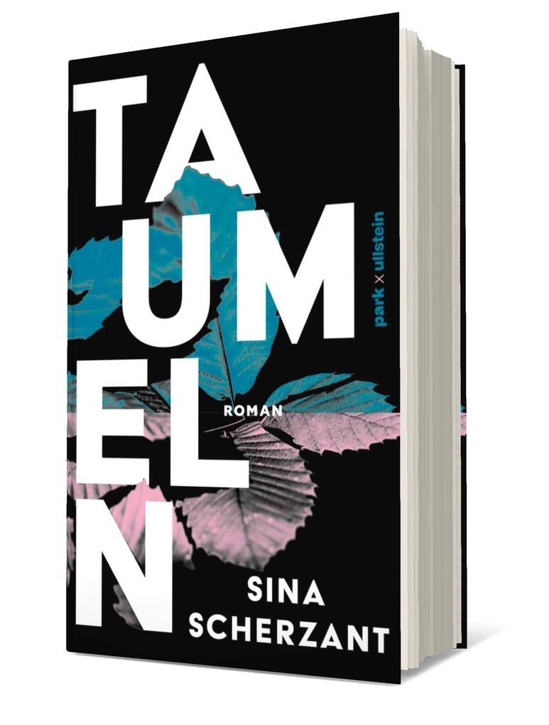 Weitere Ansicht: Taumeln | Sina Scherzant