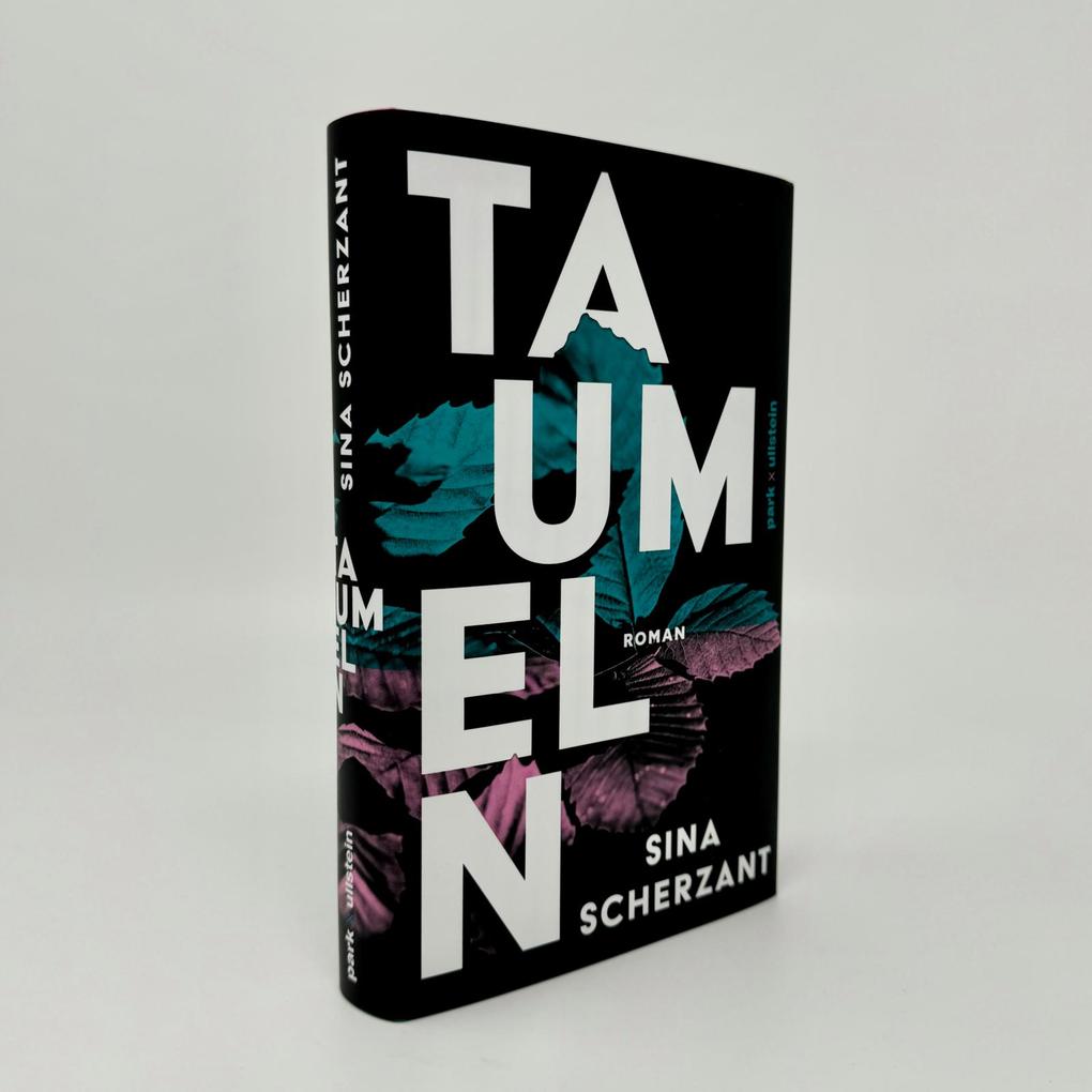 Weitere Ansicht: Taumeln | Sina Scherzant