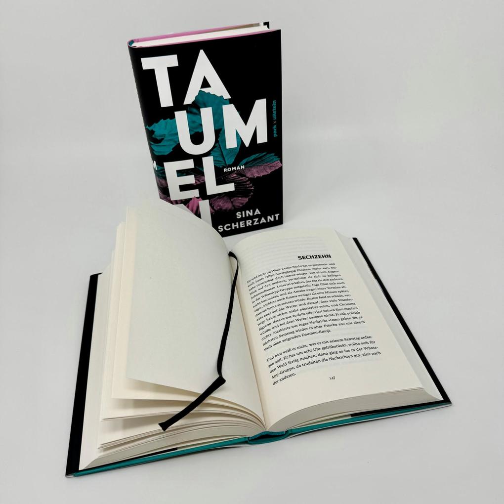 Weitere Ansicht: Taumeln | Sina Scherzant