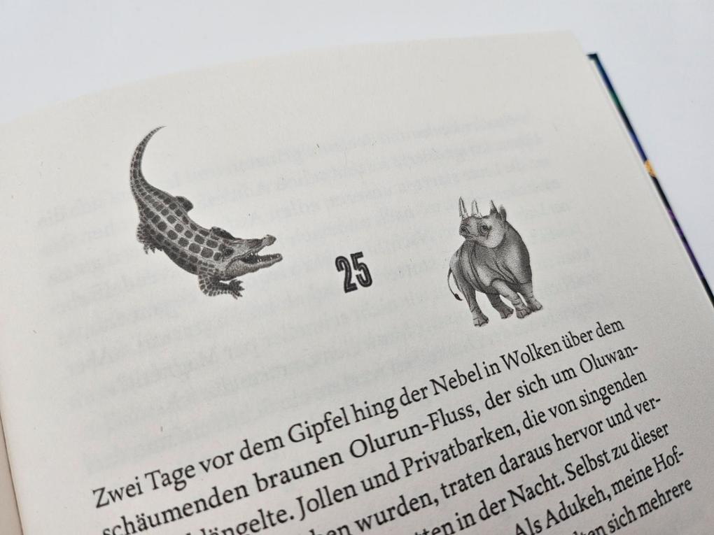 Weitere Ansicht: Raybearer - Der Pakt der Abiku | Jordan Ifueko