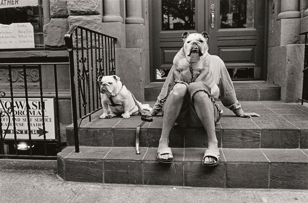 Weitere Ansicht: Last Laughs | Elliott Erwitt