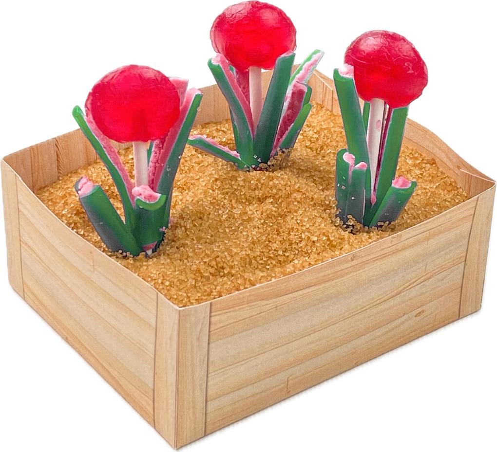 Weitere Ansicht: Das ultimative Wichtelideen-Buch. Wichtelaktionen, Streiche & Zauberei für jeden Tag. | Sarah Arabatzis, Elli Böttcher