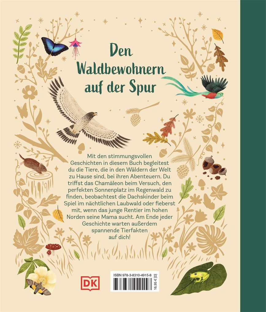 Weitere Ansicht: Tiergeschichten zum Träumen. Zauber des Waldes | Alicia Klepeis
