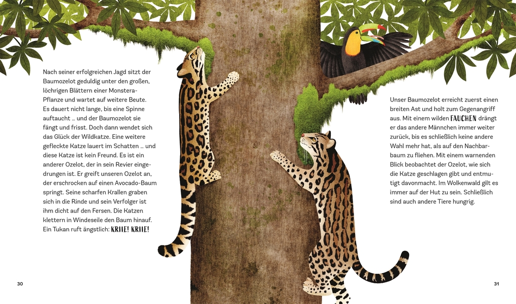 Weitere Ansicht: Tiergeschichten zum Träumen. Zauber des Waldes | Alicia Klepeis