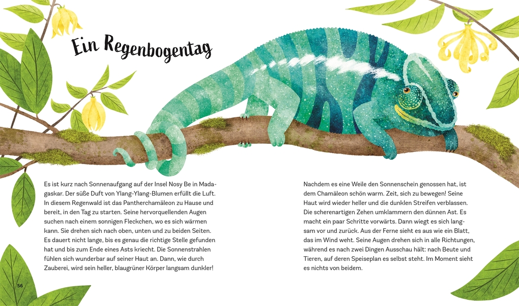 Weitere Ansicht: Tiergeschichten zum Träumen. Zauber des Waldes | Alicia Klepeis