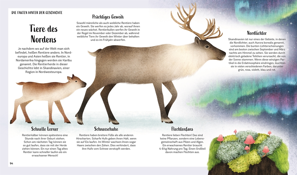 Weitere Ansicht: Tiergeschichten zum Träumen. Zauber des Waldes | Alicia Klepeis