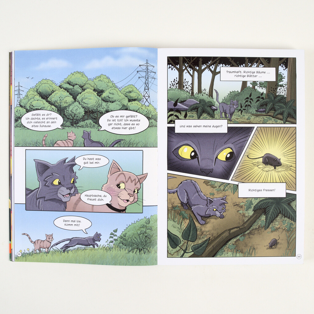 Weitere Ansicht: Warrior Cats - Graustreifs Weg zurück | Erin Hunter, Dan Jolley
