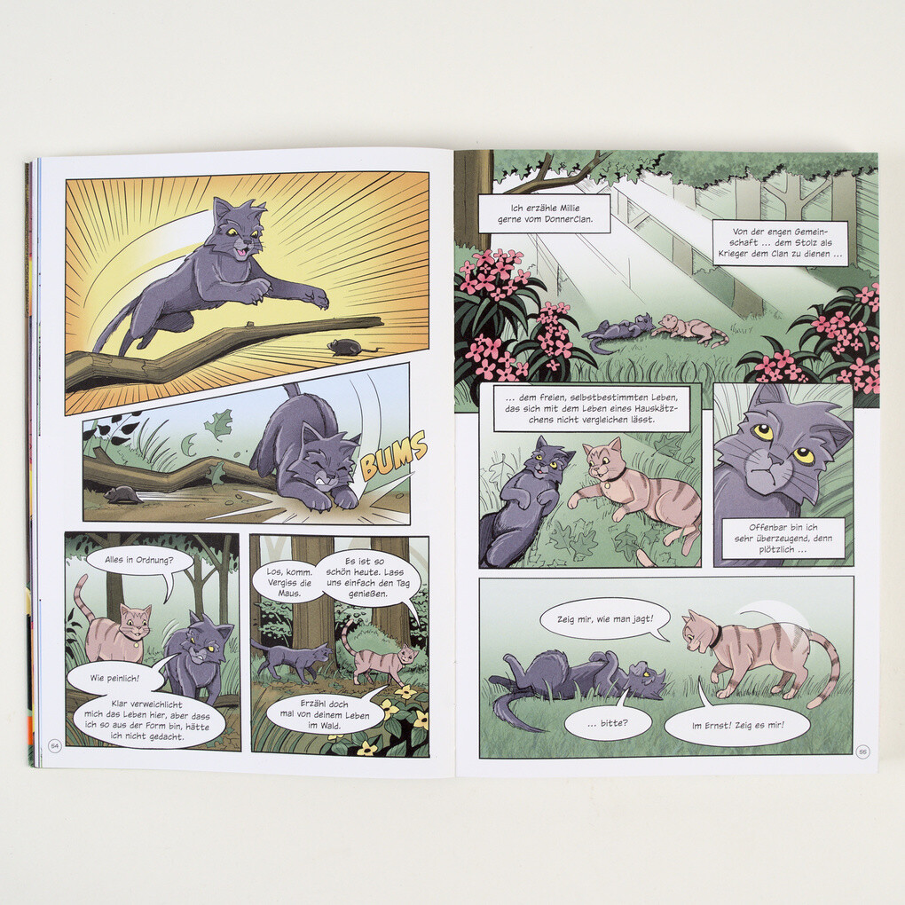 Weitere Ansicht: Warrior Cats - Graustreifs Weg zurück | Erin Hunter, Dan Jolley