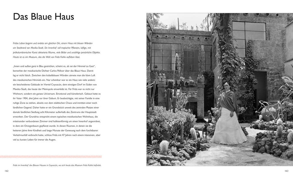 Weitere Ansicht: Frida Kahlo | Chiara Pasqualetti Johnson