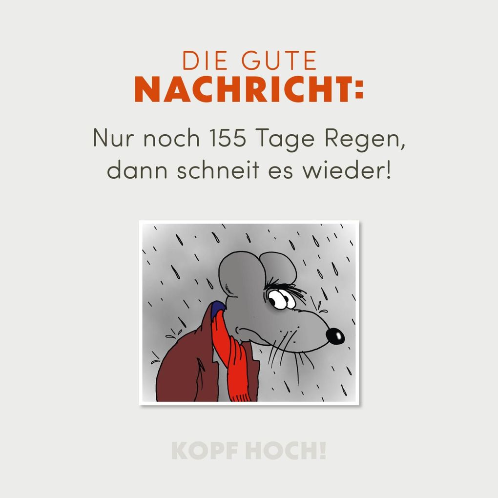 Uli Stein: 'Gute Wünsche! Kopf Hoch!' Buch - Lustige Cartoons & Texte Zum Mutmachen, Schwarzer Humor | Perfektes Geschenk