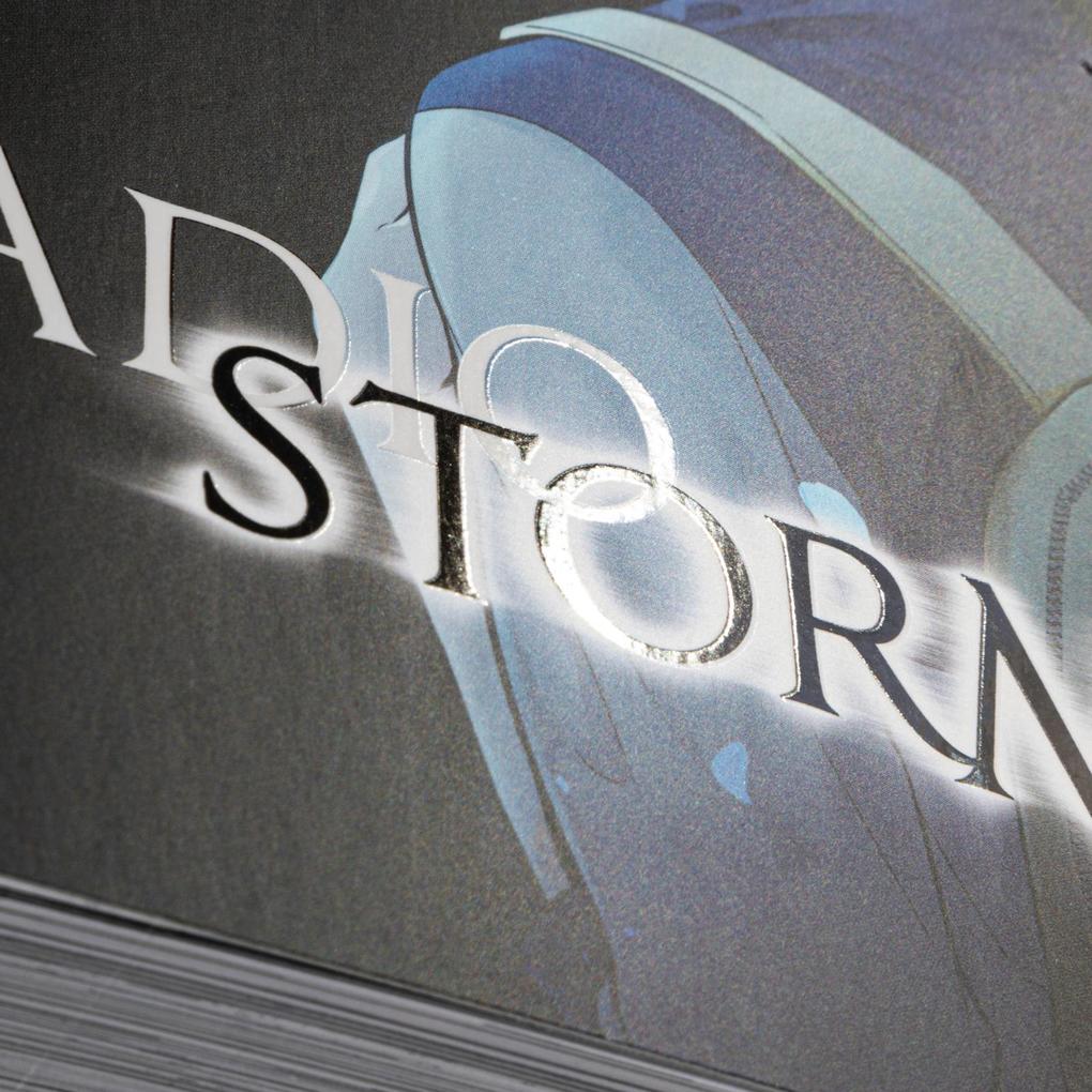 Weitere Ansicht: Radio Storm 1 | Team S&S