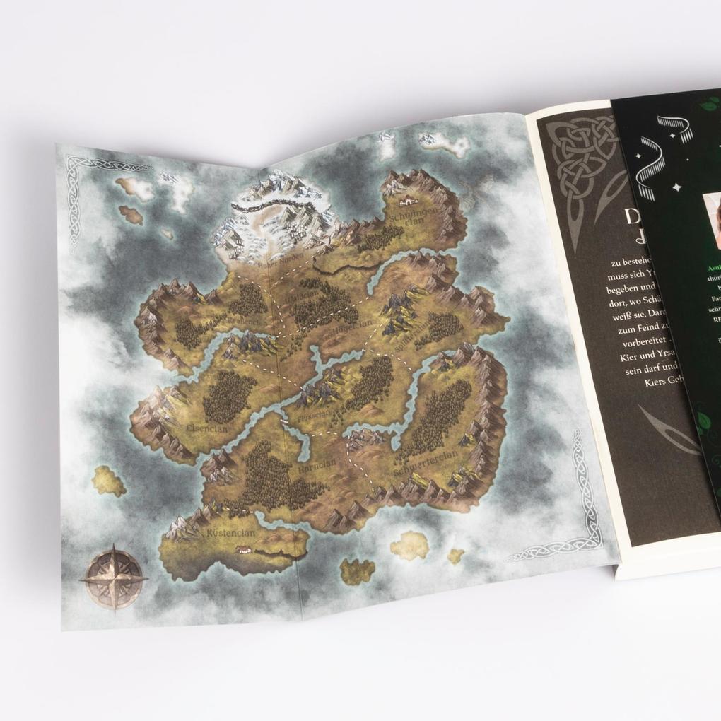 Weitere Ansicht: Nordic Clans 2: Dein Kuss, so wild und verflucht | Asuka Lionera