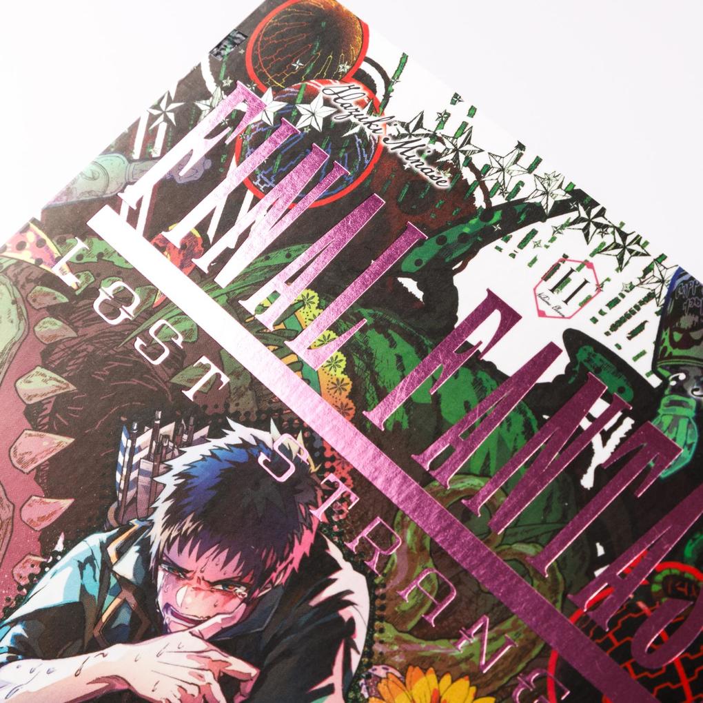 Weitere Ansicht: Final Fantasy - Lost Stranger 11 | Hazuki Minase, Itsuki Kameya