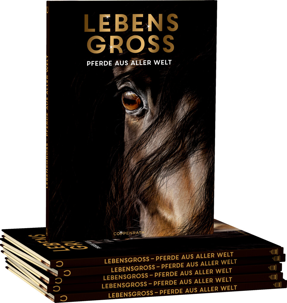 Weitere Ansicht: Lebensgroß | Susan Niessen