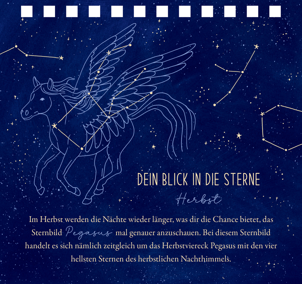 Weitere Ansicht: Lass deine Wünsche wahr werden