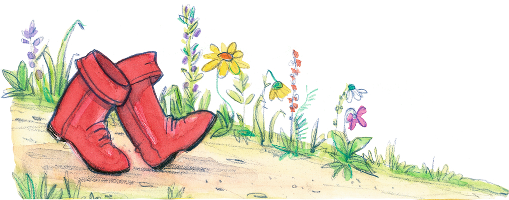 Weitere Ansicht: Prinzessin Lillifee und das verzauberte Märchenbuch | Monika Finsterbusch