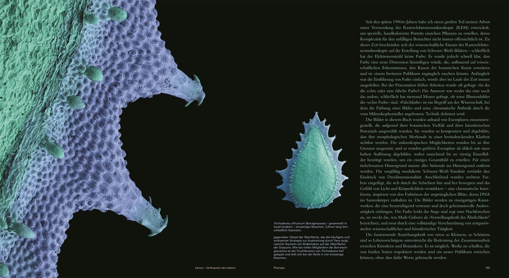 Weitere Ansicht: Samen | Wolfgang Stuppy, Rob Kesseler