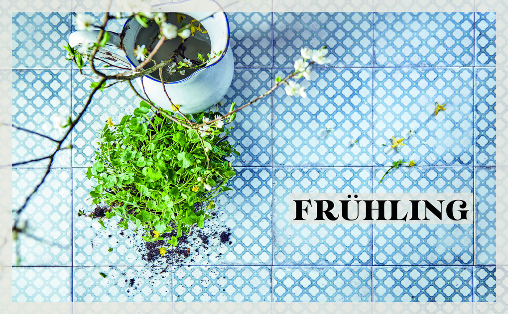 Weitere Ansicht: Osteuropa vegan | Stefan Pop, Angelika Grossmann