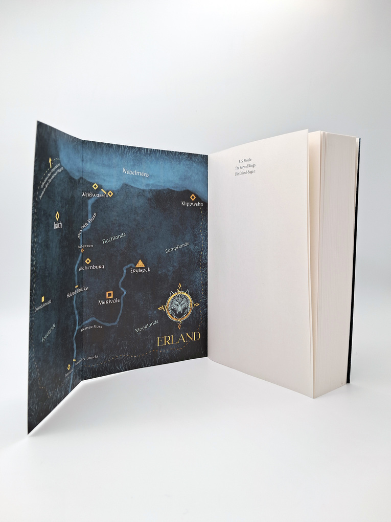 Weitere Ansicht: The Fury of Kings | R.S. Moule