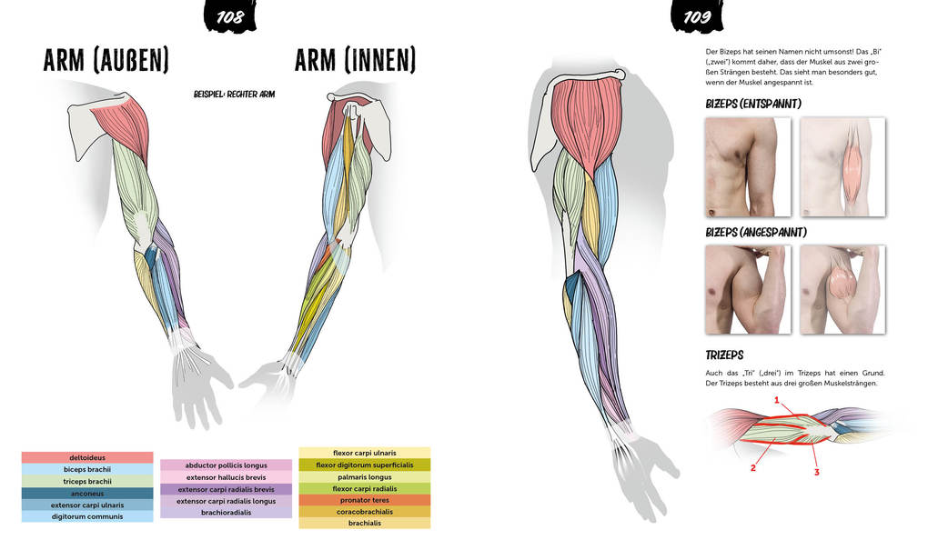 Weitere Ansicht: Anatomie zeichnen like a Sir | Marcel Kühn