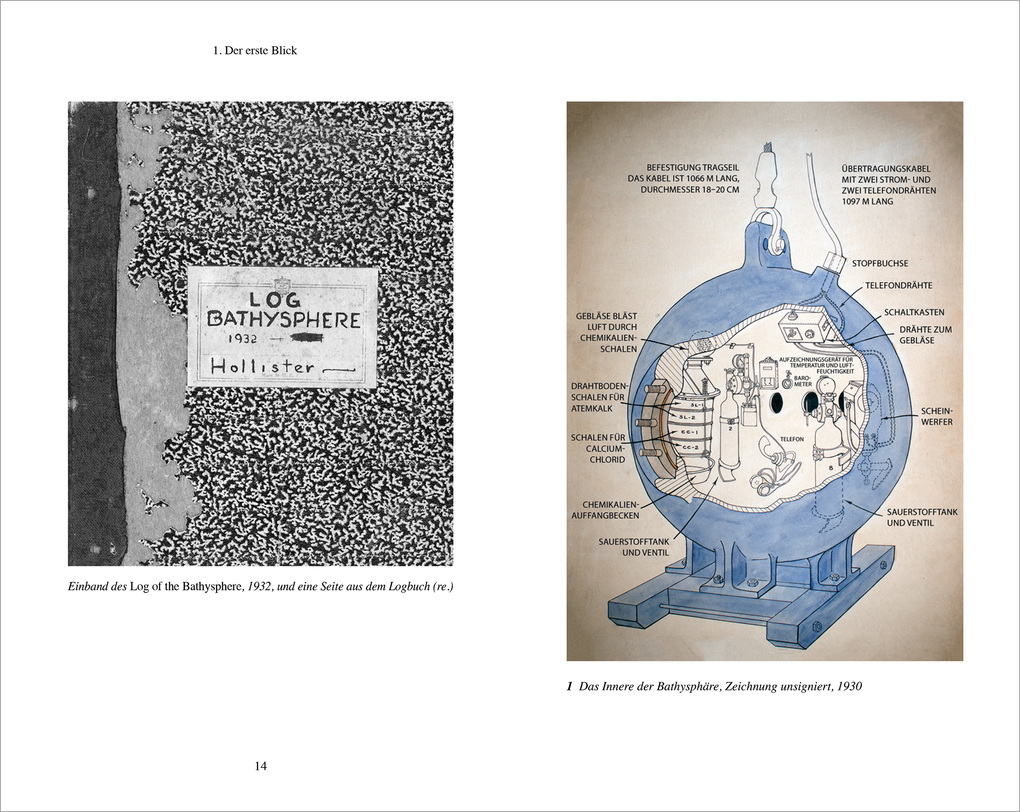 Weitere Ansicht: Leuchten am Meeresgrund | Brad Fox