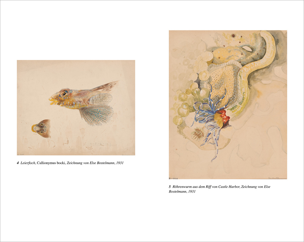 Weitere Ansicht: Leuchten am Meeresgrund | Brad Fox