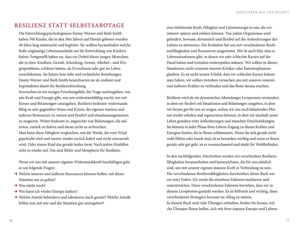 Weitere Ansicht: Der Feind in meinem Kopf | Matthias Hammer