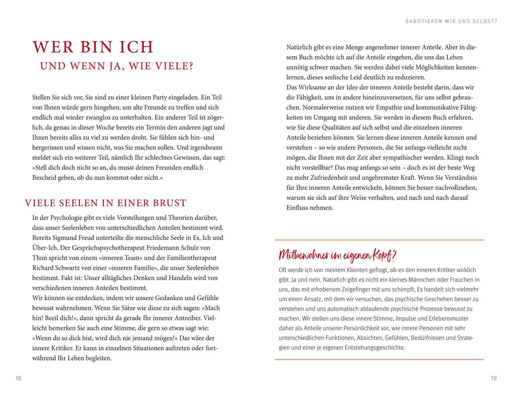 Weitere Ansicht: Der Feind in meinem Kopf | Matthias Hammer