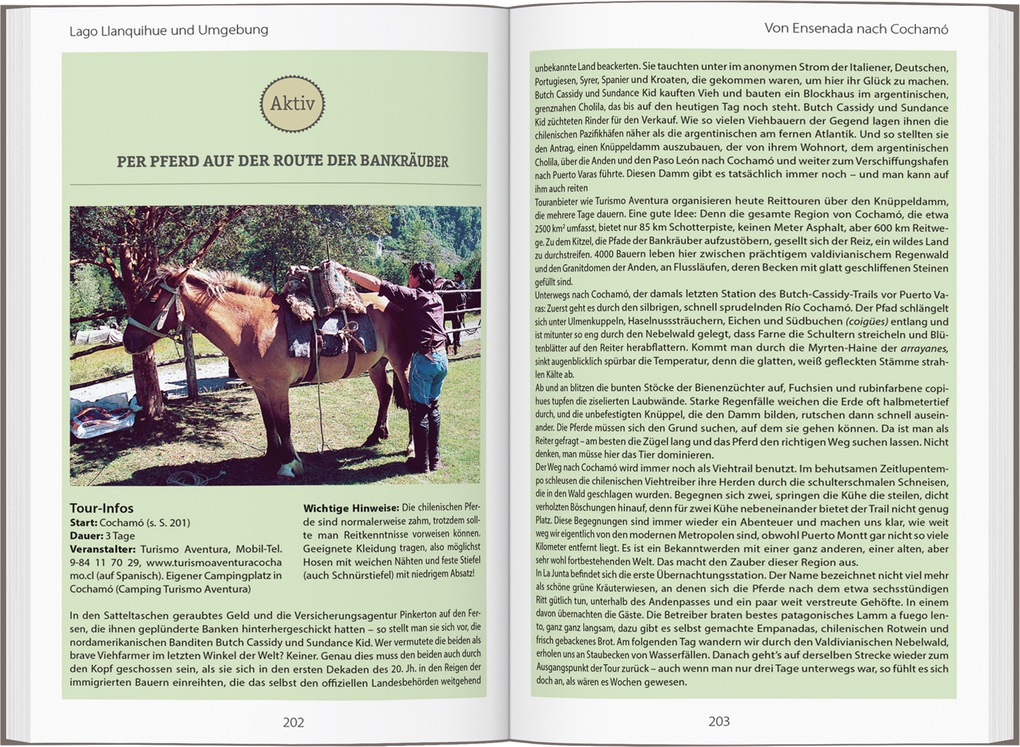 Weitere Ansicht: DUMONT Reise-Handbuch Reiseführer Chile mit Osterinsel | Susanne Asal, Sophia Boddenberg