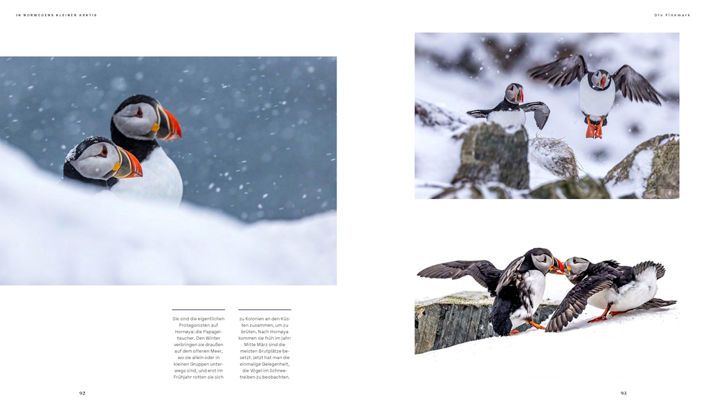 Weitere Ansicht: Lappland | Bernd Römmelt